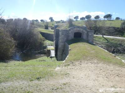 Caminos y Dehesas de Colmenar Viejo; excursiones a sierra nevada informacion sobre la naturaleza sen